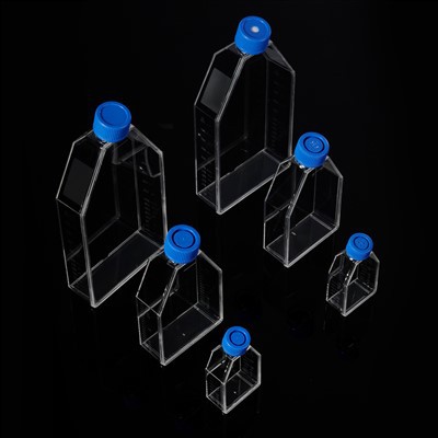 Fleascán Cultúir Cille